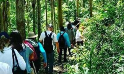 Consultoria Formatação de Trilhas na Área de Turismo Rural