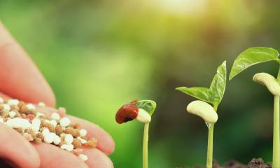 Curso Manejo da Fertilidade do Solo e sua Conservação