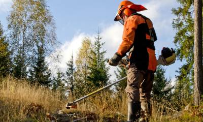 Curso Manutenção e Desempenho de Roçadeiras no Campo