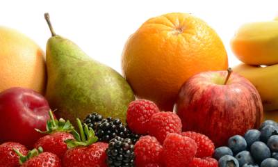 Curso Fruticultura