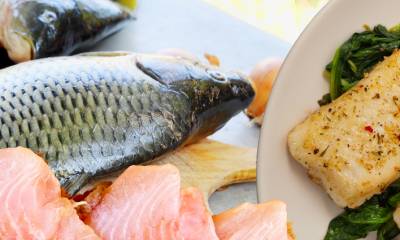 Curso Gastronomia à Base de Peixe