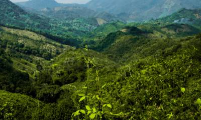 Cadastro e Licenciamento Ambiental - IBAMA e FEPAM
