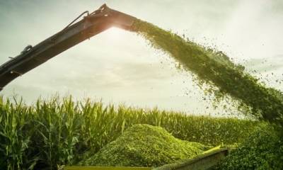 Curso Práticas e Técnicas para a Produção de Silagem