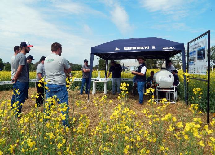 Dia de Campo na Expo Terneira atrai público ao Espaço Agro