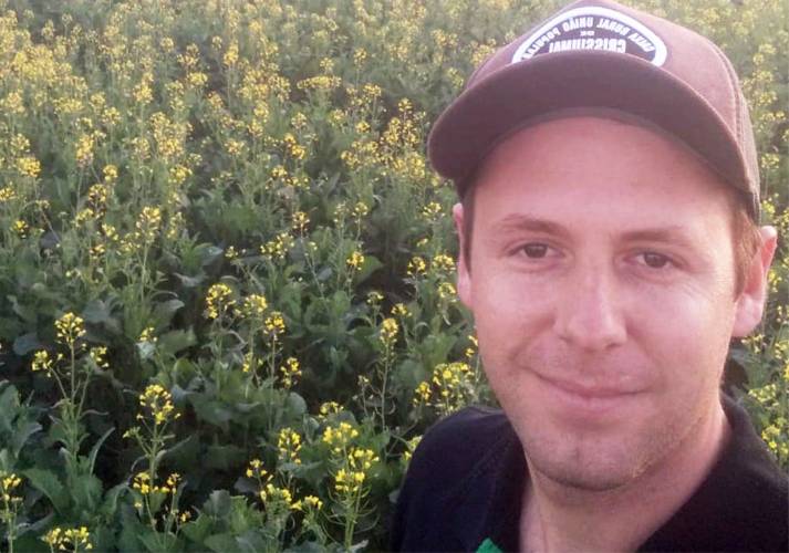 Alto custo de implantação e risco de perda por intempéries são entraves para aumento da área com canola