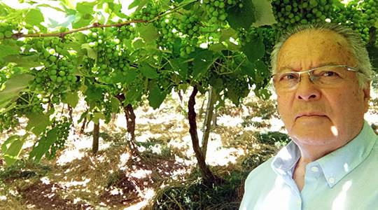 Boas Práticas na Produção de Frutas e Hortaliças: preservação da idoneidade, da sanidade dos produtos e a garantia da oferta de alimentos seguros