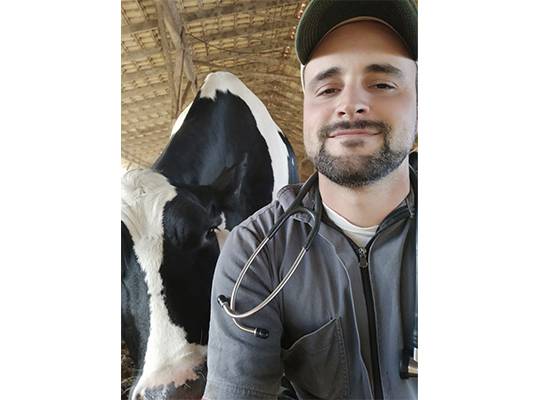 Produtores precisam ficar alertas aos casos de raiva herbívora em bovinos