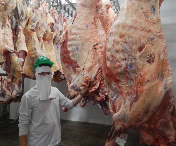 Zootecnista com atuação em frigorífico: garantia de procedência e qualidade dos cortes